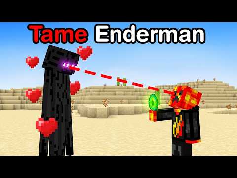 Breaking 100 Minecraft Laws in 24 Hours!