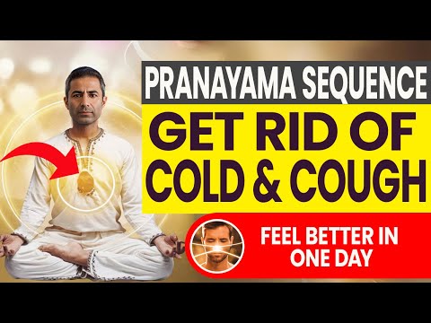 Top 4 Breathing Exercises to Reduce Cough and Cold in One Day | Pranayama Sequence