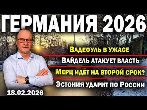 Вадефуль в ужасе/Вайдель атакует власть/Мерц идёт на второй срок?/Эстония ударит по России