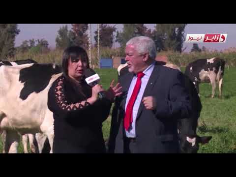 "الصومام" تدشن 4 مزارع جديدة ببوسعادة المسيلة