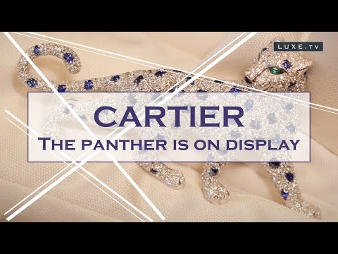 Cartier: the panther is on display in Brussels - LUXE.TV