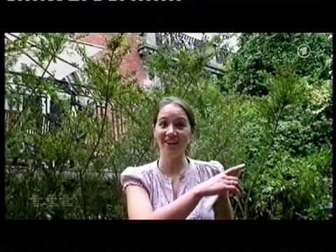 Sophie Hunger Interview