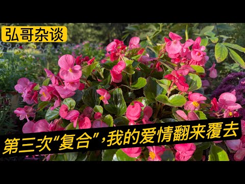 “ 不爱那么多，只爱一点点，别人的爱情像天长，我的爱情短。” 为什么我的爱情会一波三折？