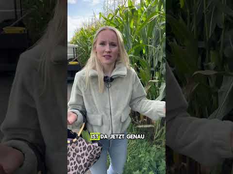POV: Du denkst, du kannst Futtermais essen 🌽😅 #landwirtschaft
