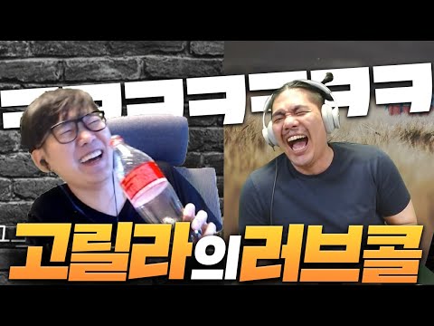 고릴라형이 상담을 요청했습니다 [로자르X미라클]