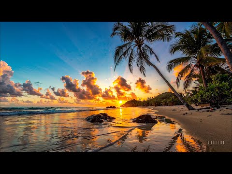 Chill Music – Guitar & Bass | Relaxing Soft Beats for Music for Study, Work & Focus