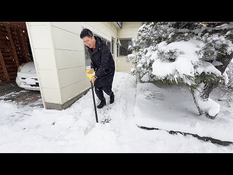 Living in Hokkaido: Our First Day in a Snowstorm, Starting from Nothing…..