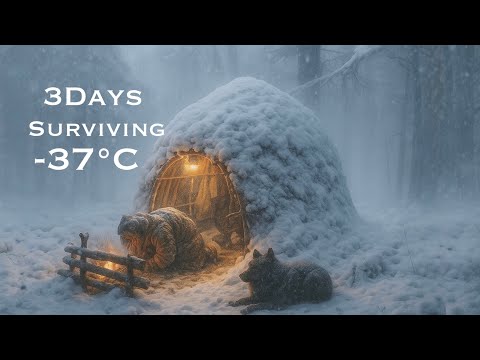 Can I Survive 3 Days Alone in a -37°C Blizzard With No Sleeping Bag? (Extreme Cold Survival)