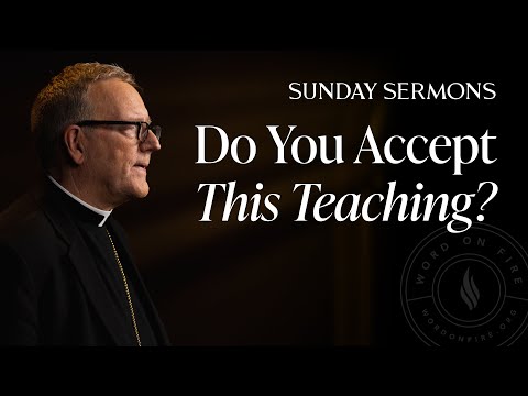 Do You Accept This Teaching? - Bishop Barron's Sunday Sermon