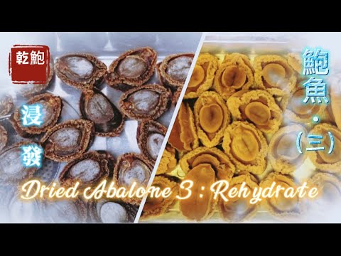 《家嘗別飯》鮑參翅肚篇 (乾鮑魚) :  鮑魚四部曲(三)浸發 (浸發都要注意時間?)【Dong Dong Kitchen】Dried Abalone 3: Rehydrate