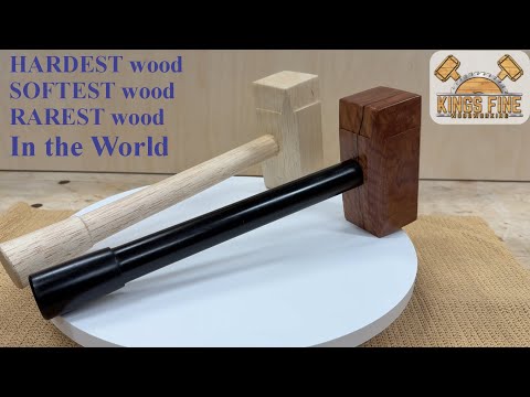 HARDEST, SOFTEST, and RAREST WOOD IN THE WORLD