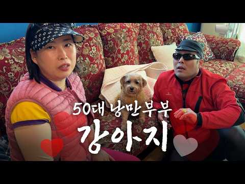 Why do dads love dogs so much when they hate them so much? [Romantic Couple]