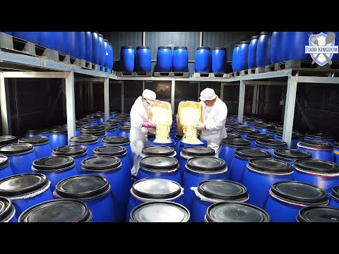 Intensely spicy! Mass production of Koreans' beloved chili sauce / Korean food factory
