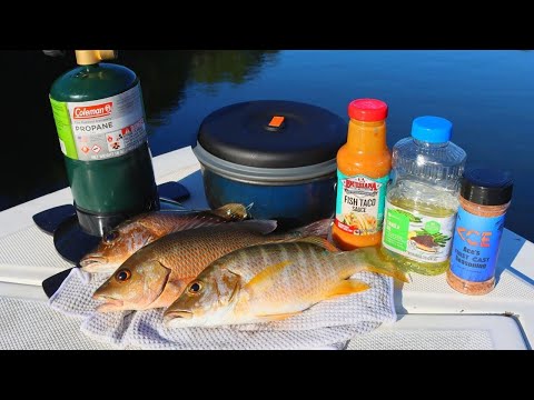 Eating Whatever We Catch in Mangrove Backwaters!