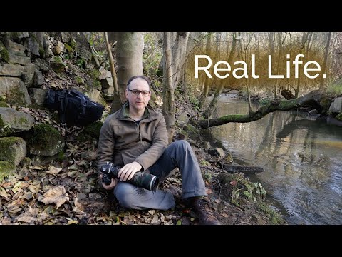 The Truth About Bird Photography: That Nobody Shows You