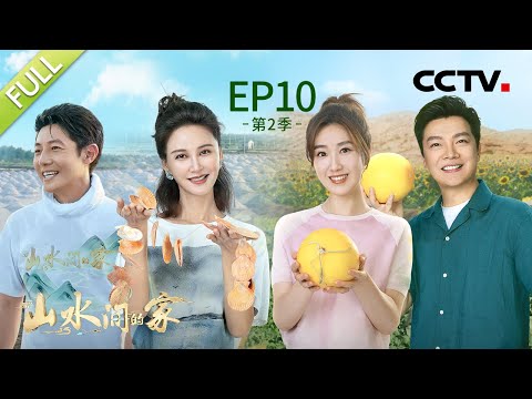 【Full】撒贝宁和张歆艺玩谐音梗为广东老家“带盐” 任鲁豫寻找蚂蚁森林梭梭树，见证沙海“退退退” ！| CCTV「山水间的家 第二季」第10期 20231104