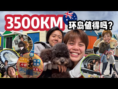 🚘第一次带着狗狗一起环岛！从黄金海岸一路到墨尔本的所有攻略！🇲🇾完结篇🇦🇺