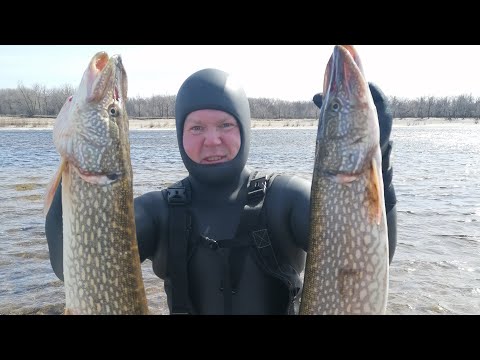 Подводная Охота " САМЫЕ РЫБНЫЕ МЕСТА ДЛЯ ОХОТЫ " Волгоград, Саратов 2021. Подводная съемка