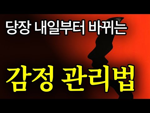 (레전드 합본) 다 제쳐두고 감정부터 다뤄라, 인생이 180도 변한다.