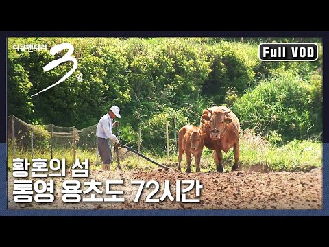 [다큐3일★풀버전] 섬시리즈🚢 찢어진 청바지도 꿰매주는(?) 인심 좋은 오지 섬! 통영 용초도 사람들 | “그래도 좋지 아니한가 황혼의 섬 통영 용초도”(KBS 120603 방송)