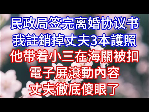 民政局签完离婚协议书，我註銷掉丈夫3本護照，他带着小三在海關被扣，電子屏滾動內容，丈夫徹底傻眼了#情感故事 #心灵感悟 #人生感悟