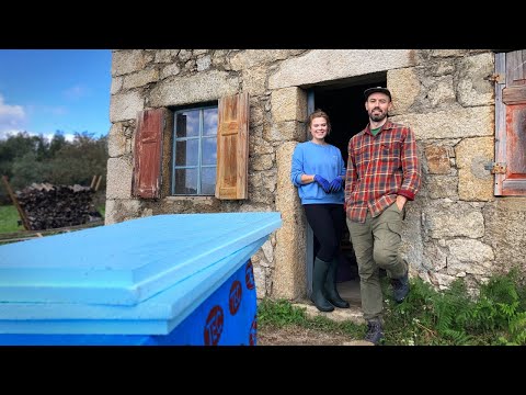 STONE HOUSE RENOVATION - Racing to Get Ready for Winter