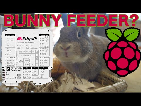 I Built a Bunny Feeder with an EdgePI! (Raspberry PI + PLC)