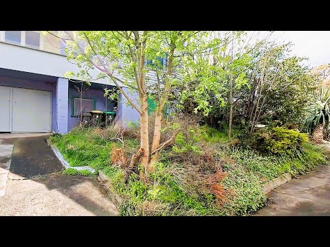 Her Father Passed Away and Left this Horrifying Mess for Her to Cleanup!