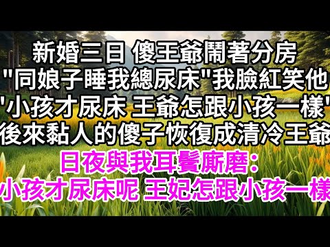 嫁給個傻子王爺後，我指著床上一灘液體取笑他，"王爺怎跟小孩一樣尿床呢"，他羞到說不出話，誰知後來，傻子複又清明，日夜與我耳鬢廝磨，"王妃怎跟小孩一樣尿床呢" 【美好人生】