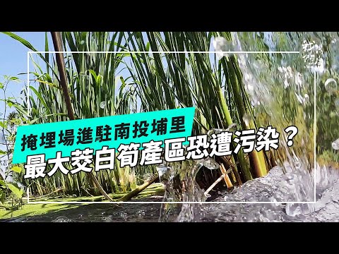 茭白筍之鄉｜水源地遇上掩埋場(公視我們的島 第1306集 2025-05-12)