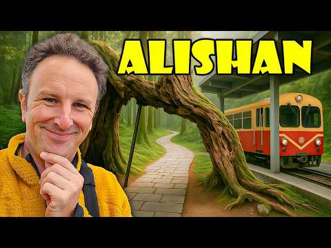 36 HOURS in ALISHAN, Taiwan: The ULTIMATE Mountain Trip Guide ⛰️🇹🇼