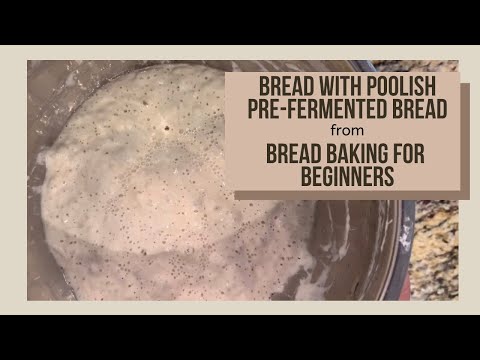 Bread with Poolish | Bread Baking for Beginners