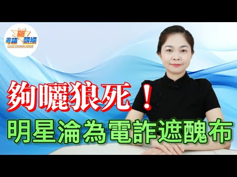 2.7萬億電詐王國爆煲！上流女明星豪門夢，全靠內地血汗錢砌成？恩愛富貴一朝散，上流生活秒變乞兒裝，遮醜布一扯，最後輸到連底褲都冇！|電信|詐騙|跨境犯罪|佘智江|趙薇|黃有龍|粵語