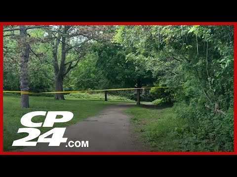 Police say woman was dragged into woods and sexually assaulted in High Park