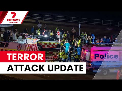 Bondi Beach terror attack update: What we know so far | 7NEWS