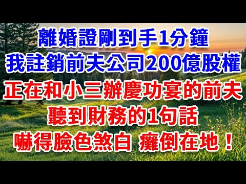離婚證剛到手1分鐘，我註銷前夫公司200億股權，正在和小三辦慶功宴的前夫，聽到財務的1句話，嚇得臉色煞白，癱倒在地！#詩涵講故事#為人處世#生活經驗#情感故事#晚年哲理#說故事#完結文#原創故事