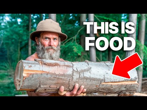 What Medieval Foragers Found That Modern Survivalists Ignore