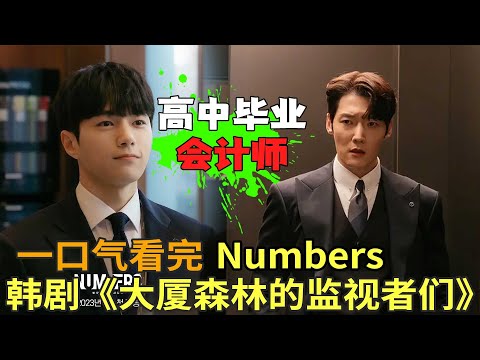 高中毕业入职顶级会计师事务所，只为寻找真相，韩剧《Numbers : 大厦森林的监视者们》一口气看完