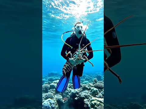 2KG GIANT SHRIMP! 🦐🔥 #fishingboat