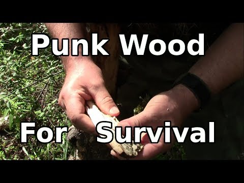 Punk Wood - Backwoods Tips For Fire Use