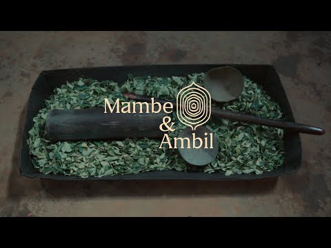 Plantas de poder | Mambe y Ambil