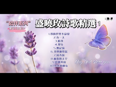 盛曉玫詩歌精選 1 陪伴系列 孤寂中的陪伴  45分鐘連續播放