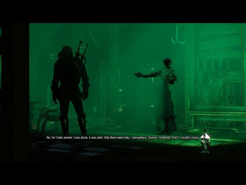 The Witcher 3: Wild Hunt - A Towerful of Mice
