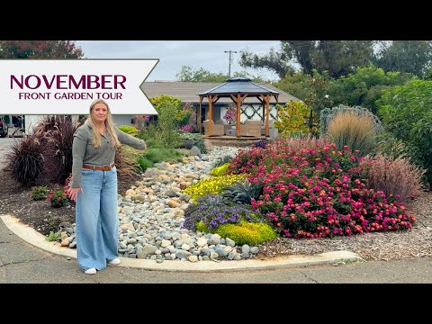 How is the Garden Looking SO GOOD in November?! 🍁 November Front Garden Tour!