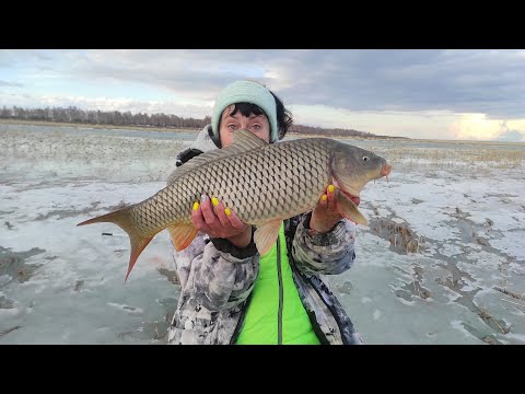 КАРАСИ озверели! ДОЖДЬ добивал лёд, и я уже НЕ ЖДАЛА, что ЭТИ клюнут! Закрытие часть 2