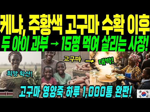 케냐, 하루 1,000통 완판! 옥수수죽으로 버티던 과부가 고구마영양죽 대박난 이유 [해외감동사연]