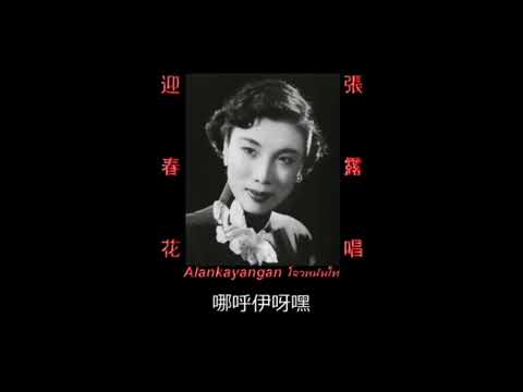 13首超经典新年歌曲