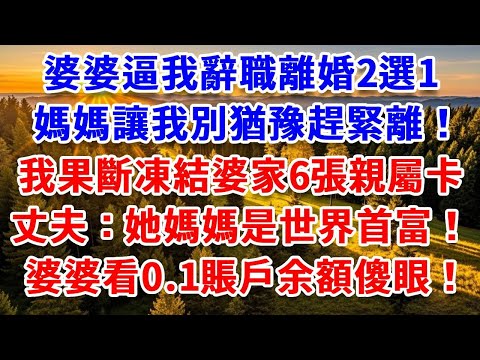 婆婆逼我辭職離婚2選1，媽媽讓我別猶豫趕緊離！我果斷凍結婆家6張親屬卡，丈夫：“她媽媽是世界首富！”婆婆看到賬戶余額傻了！#思妤說故事#為人處世#生活經驗#情感故事#晚年哲理#說故事#完結文#原創故事