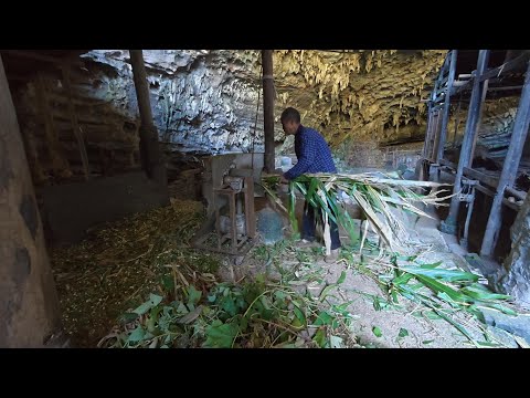 The elderly couple, both in their seventies, have lived in seclusion in the deep mountains of Gua...