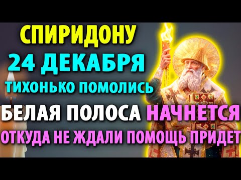 19 декабря ТИХОНЬКО ПОМОЛИСЬ! ПОМОЩЬ ПРИДЕТ! БУДЕТ БЕЛАЯ ПОЛОСА! Молитва Спиридону Тримифунтскому